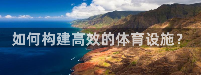 意昂4集团简介：如何构建高效的体育设施？